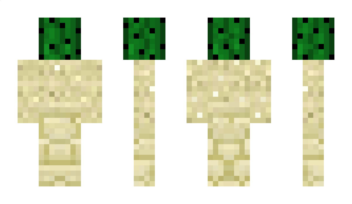 desierto Minecraft Skin