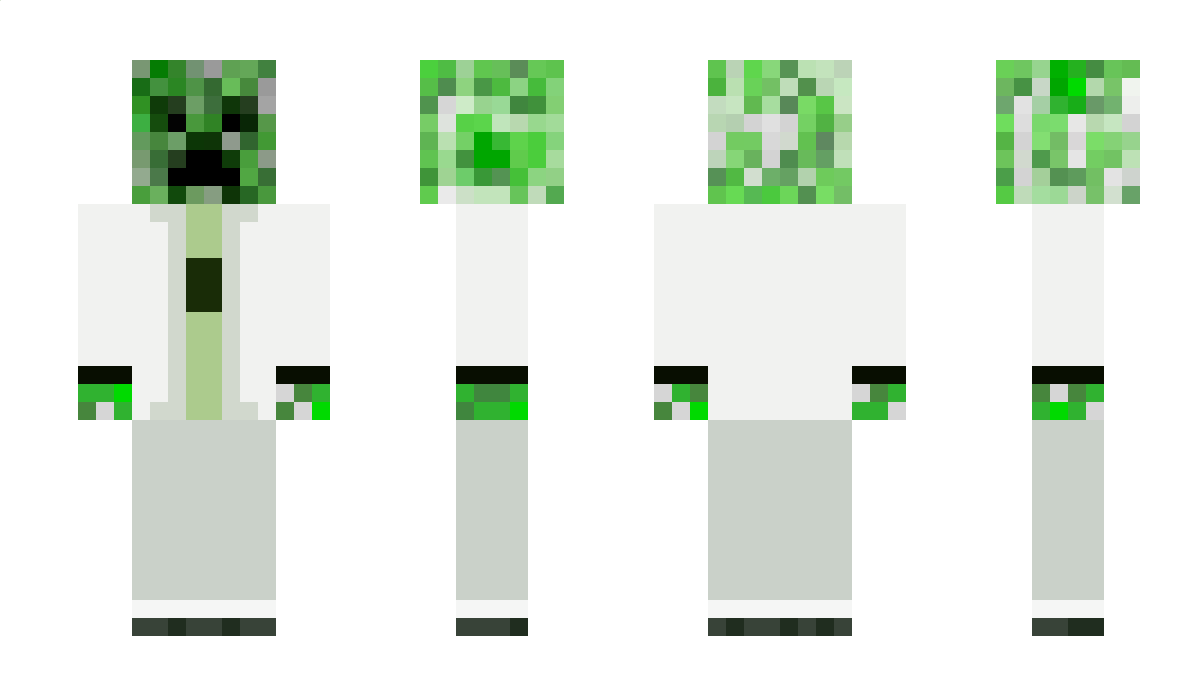 Toadcoucou94 Minecraft Skin