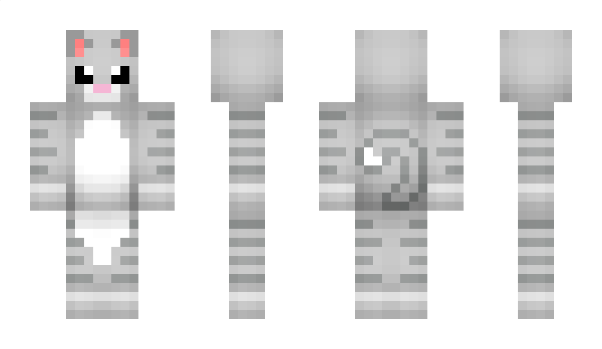 cnr2340 Minecraft Skin