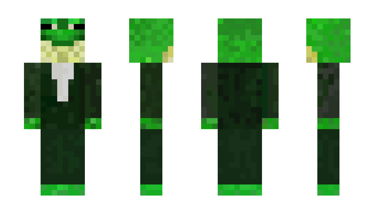 TSETurtle Minecraft Skin