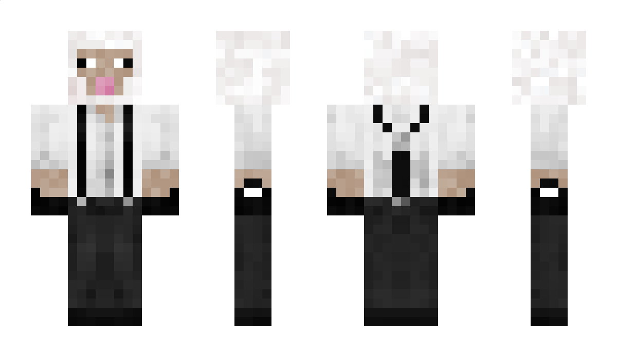 BRO595 Minecraft Skin