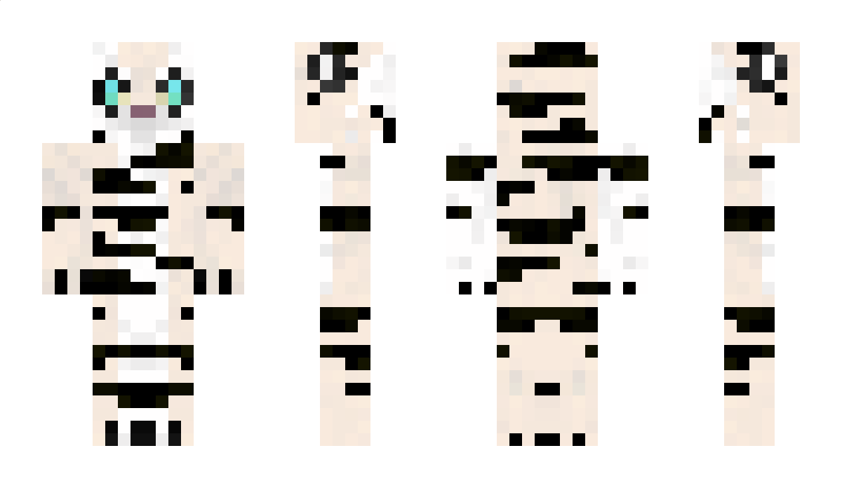 Zaco Minecraft Skin