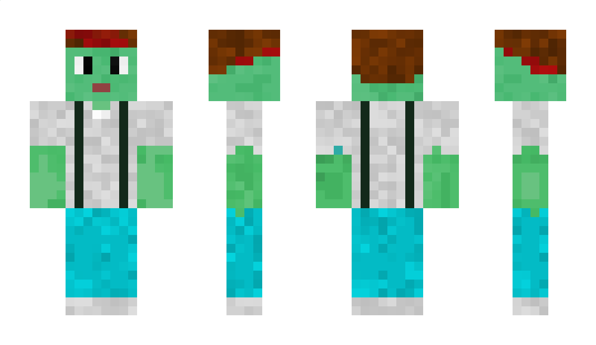 HENI Minecraft Skin