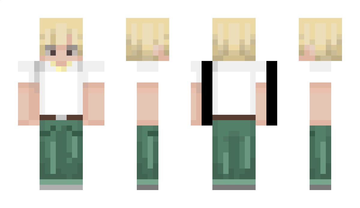 VejgaardDollaren Minecraft Skin