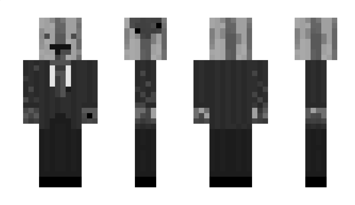 MisterJJQ Minecraft Skin