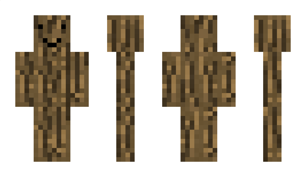 Aeiter Minecraft Skin