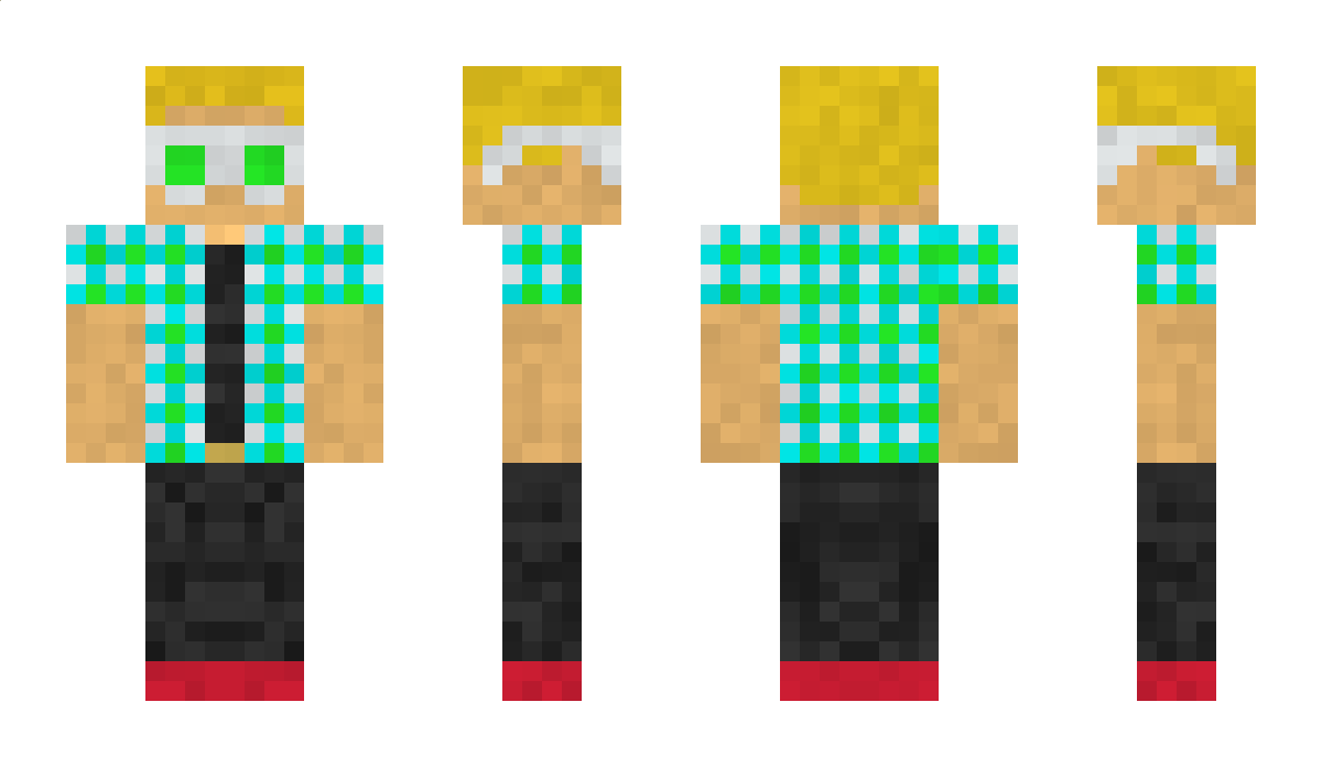 agentawesome9 Minecraft Skin