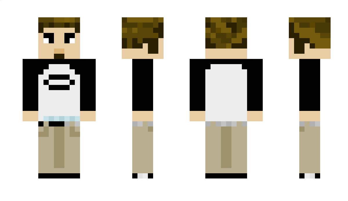 C818 Minecraft Skin