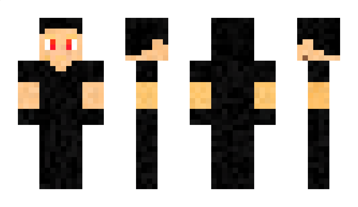 bird123 Minecraft Skin