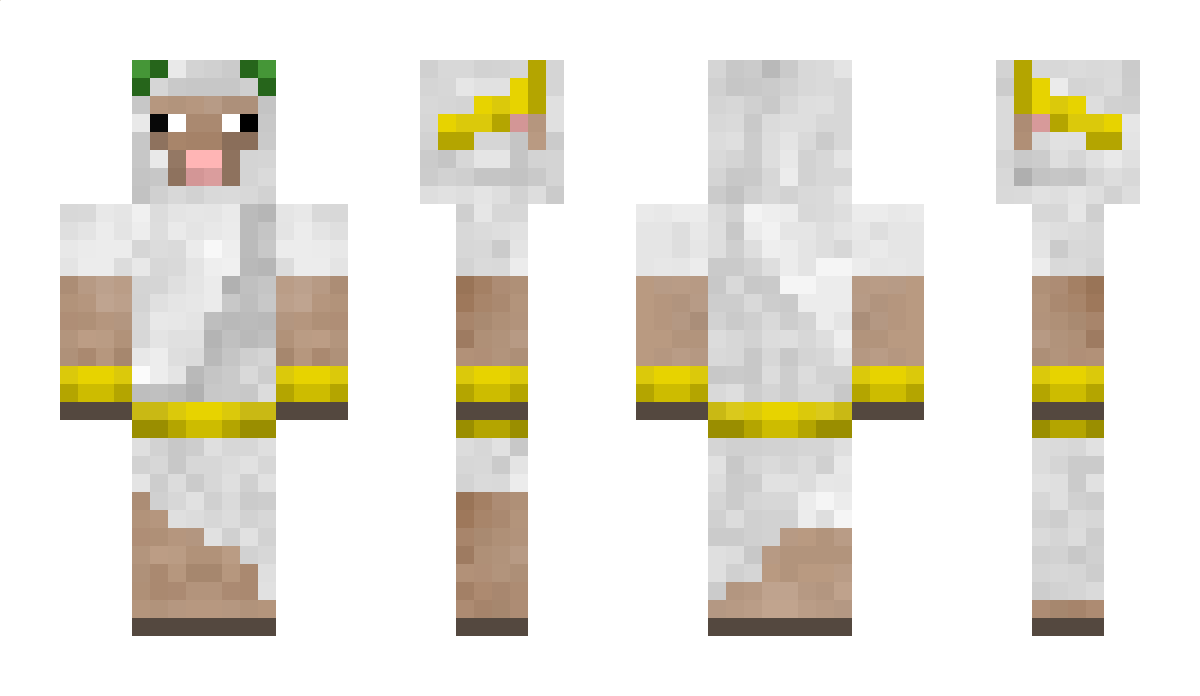 LeoCraft2802 Minecraft Skin