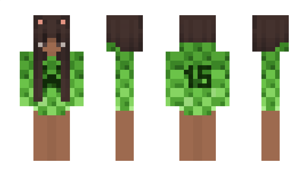 Vitzoo Minecraft Skin