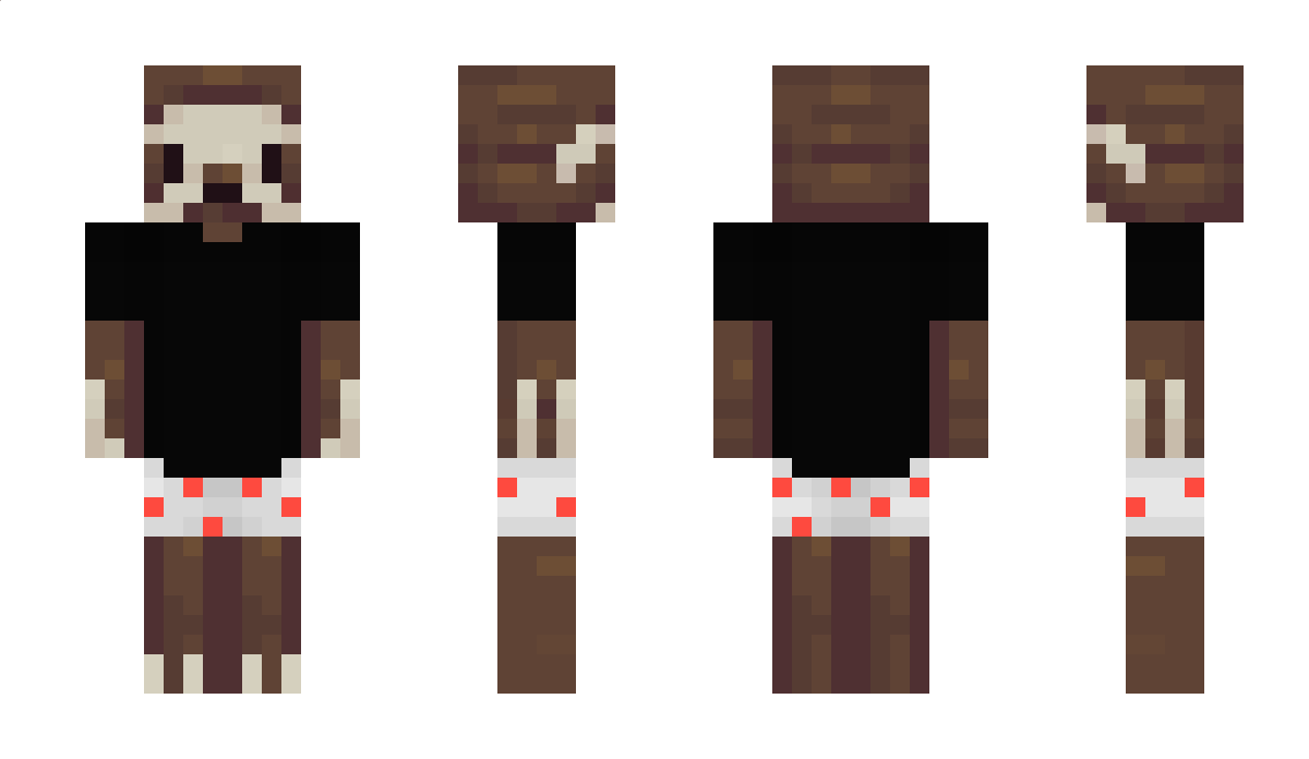 drsfb Minecraft Skin