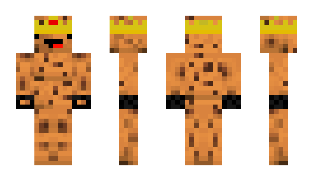 xOliwier2010 Minecraft Skin