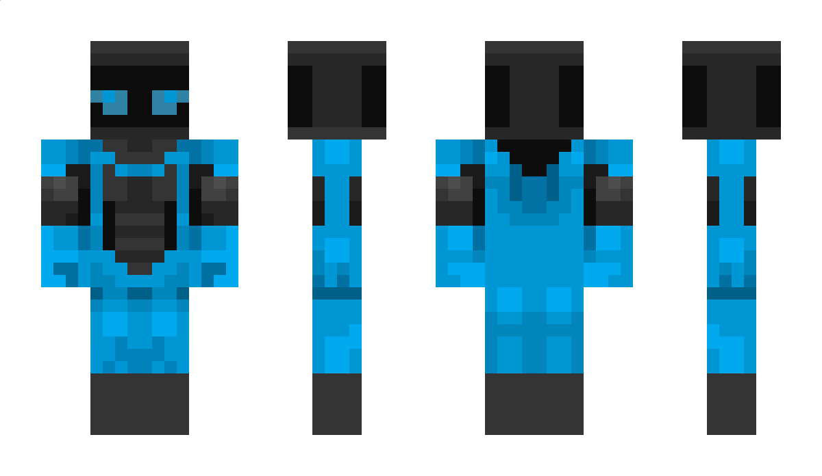 tcp_term Minecraft Skin