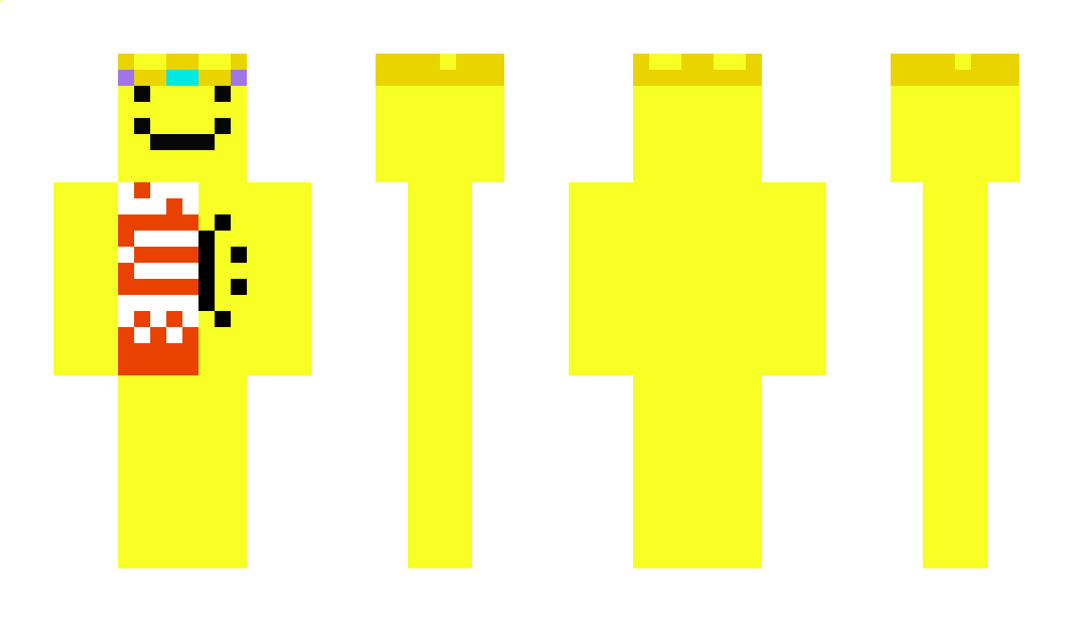 Sasha_qqa_ua Minecraft Skin