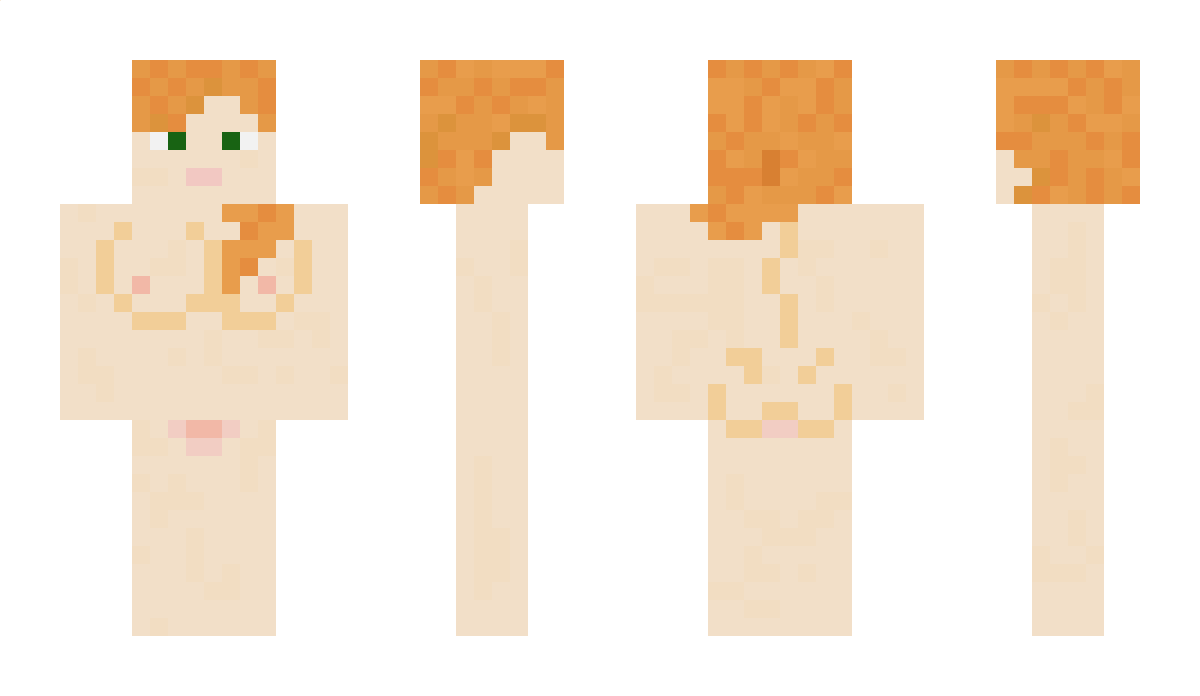 bebrikkk Minecraft Skin