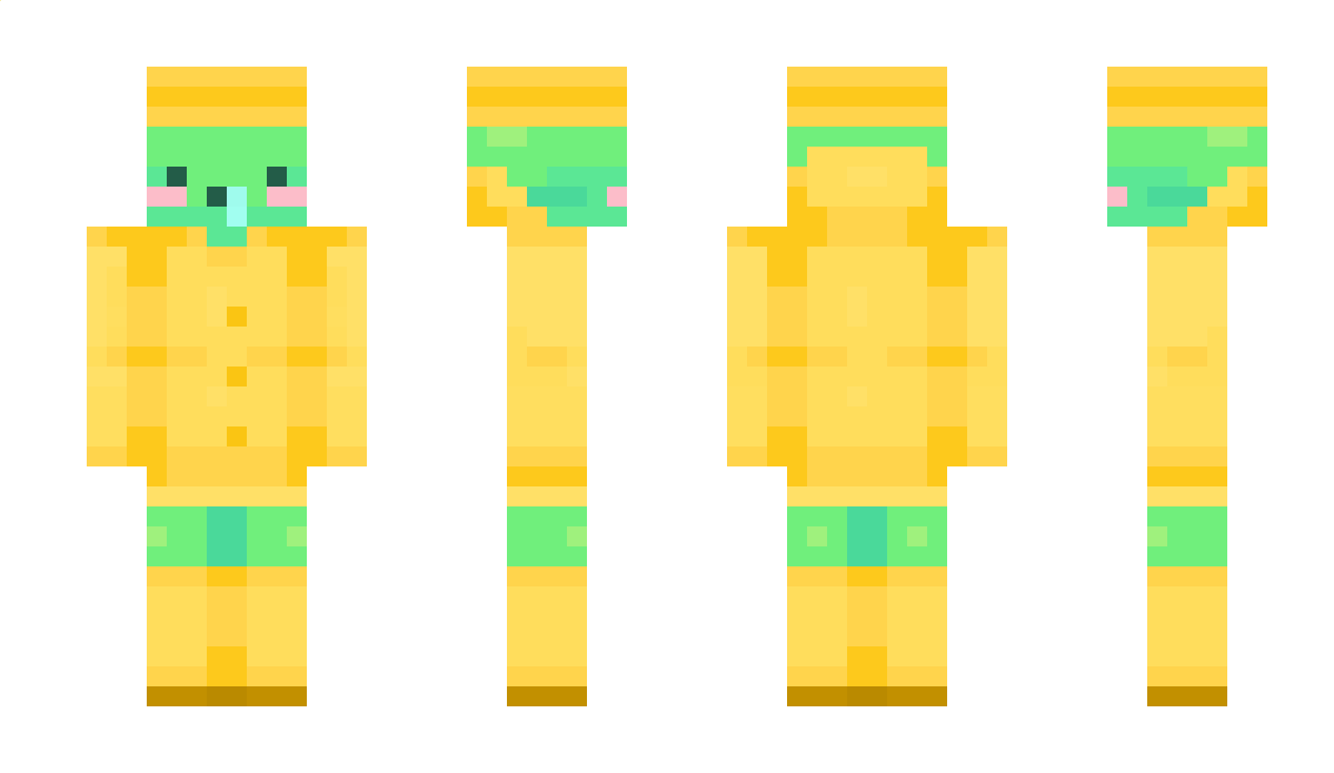 choonsik_ee Minecraft Skin