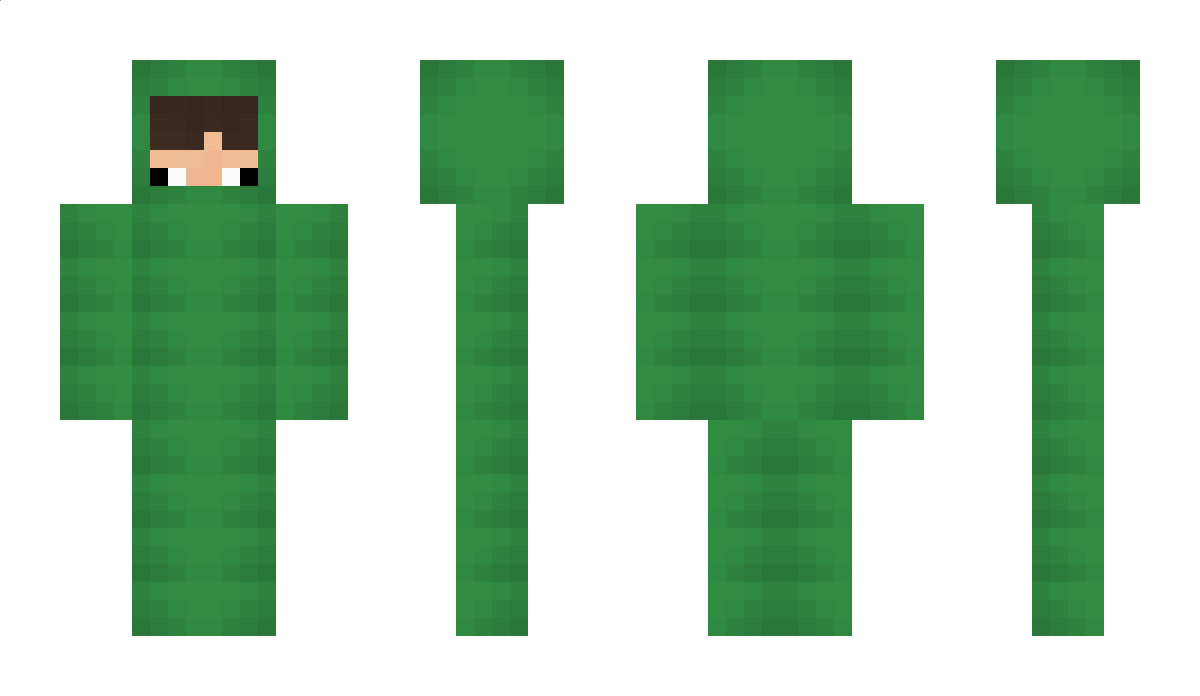 soosbi Minecraft Skin