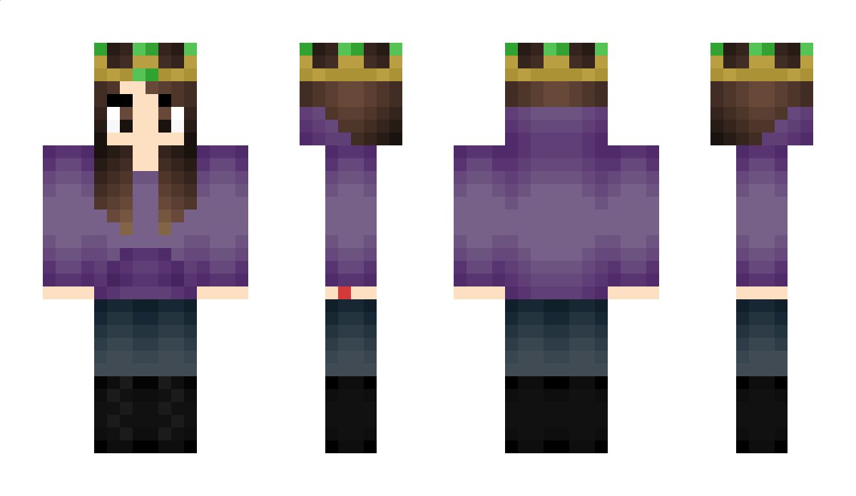 WiseKingPleb Minecraft Skin