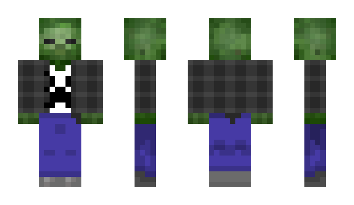 Miteko Minecraft Skin