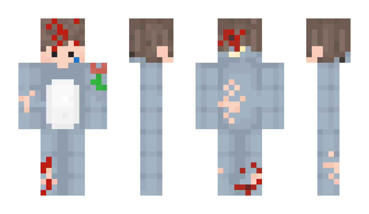 GrayNarwhal Minecraft Skin