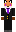 PokeToke Minecraft Skin