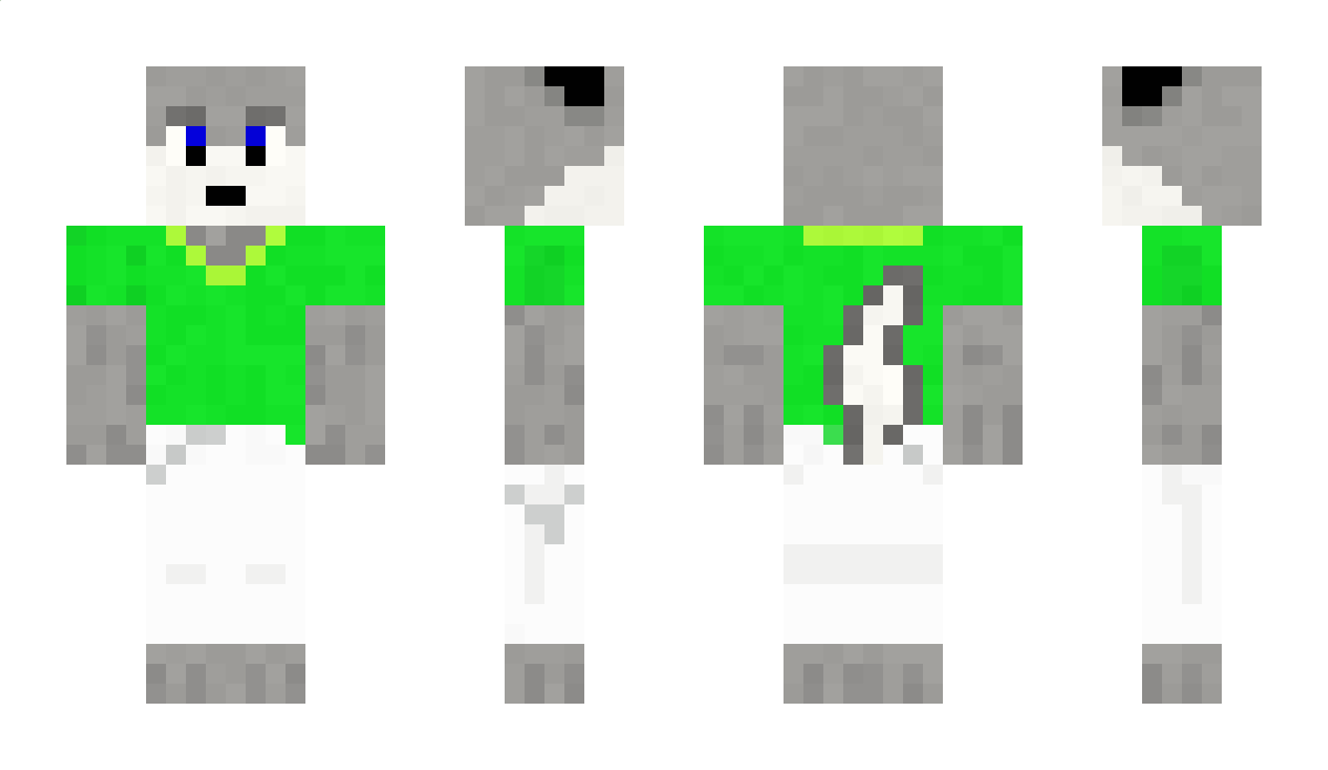 BionicHusky000 Minecraft Skin