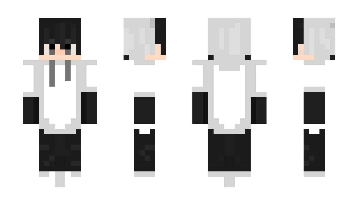 ___p Minecraft Skin