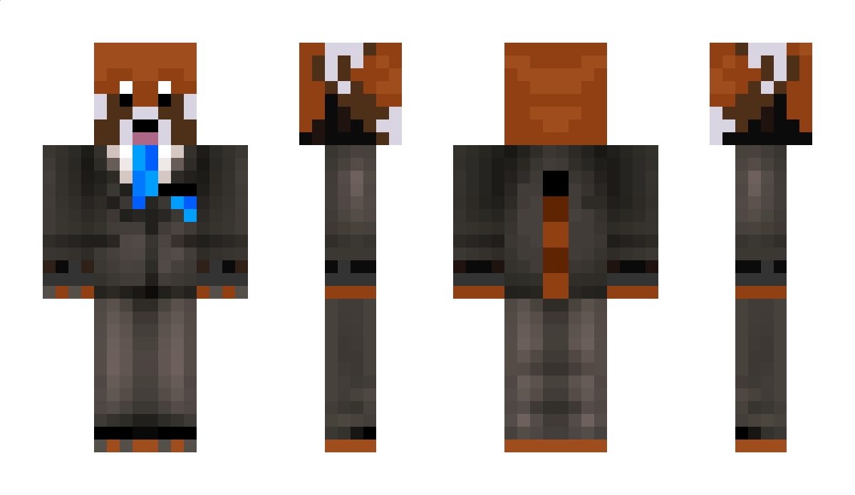 nakotakabota Minecraft Skin