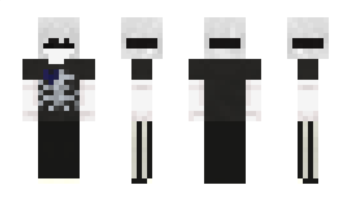 FakeMail Minecraft Skin