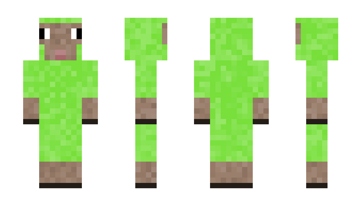 Zielomek Minecraft Skin