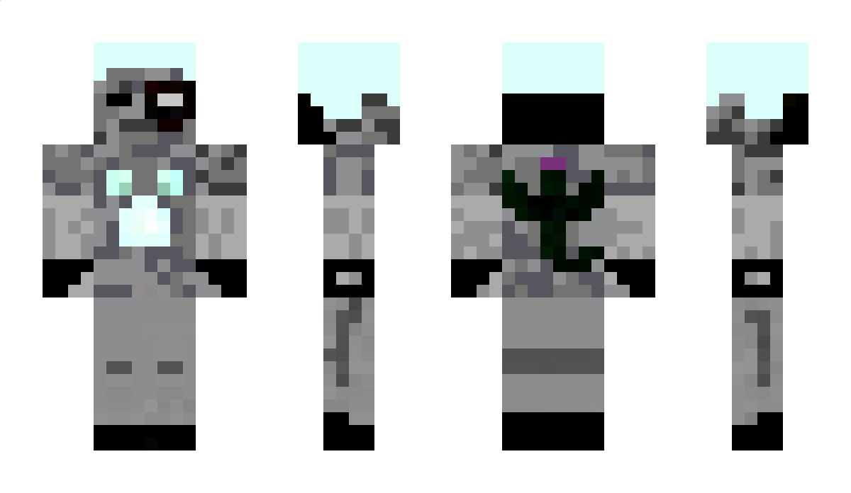 leuname331 Minecraft Skin