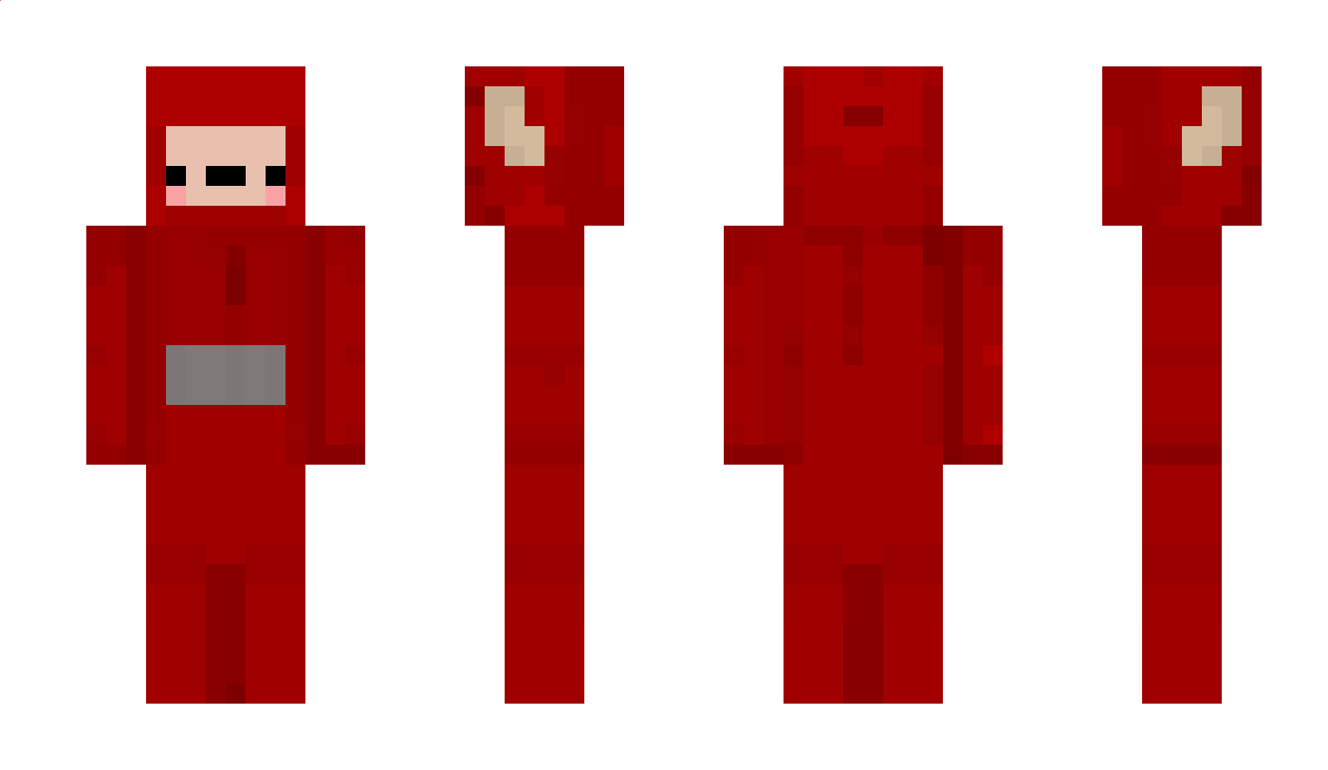 Re1mi Minecraft Skin