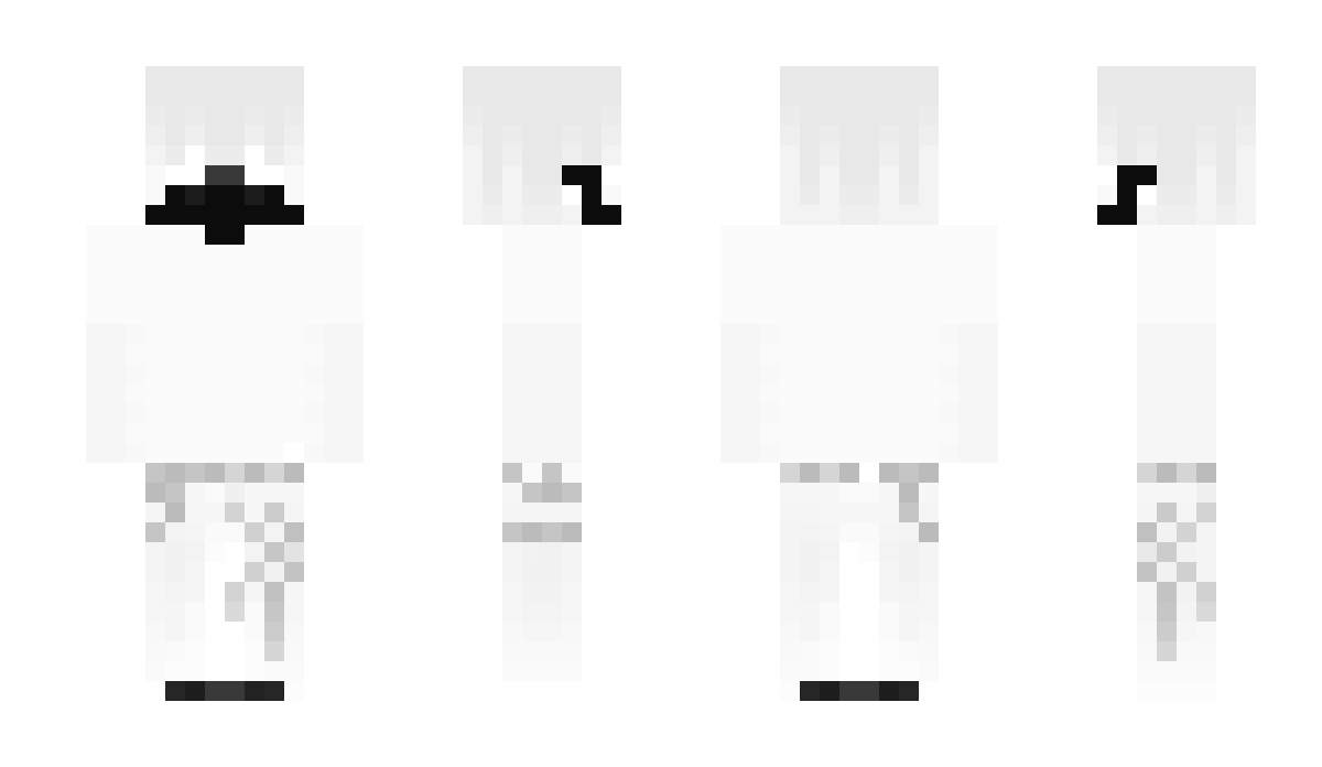 QuarterLife Minecraft Skin