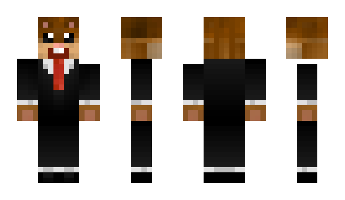 Hamsterz_ Minecraft Skin