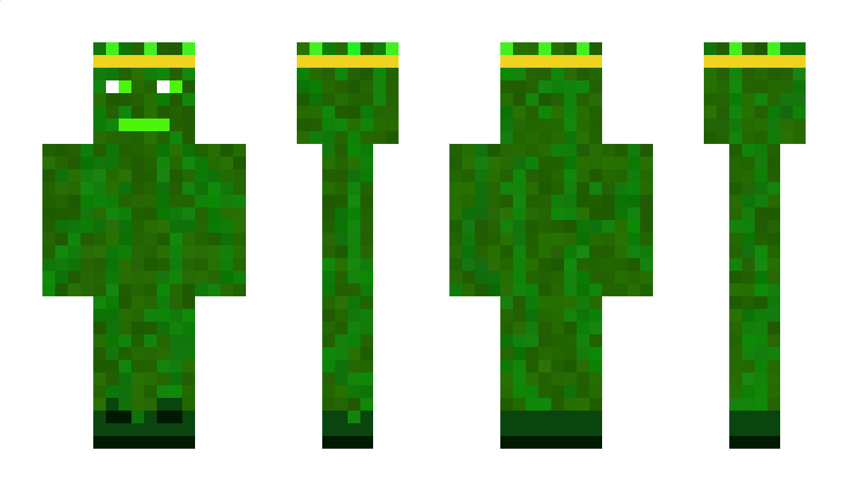 powerplayathome Minecraft Skin