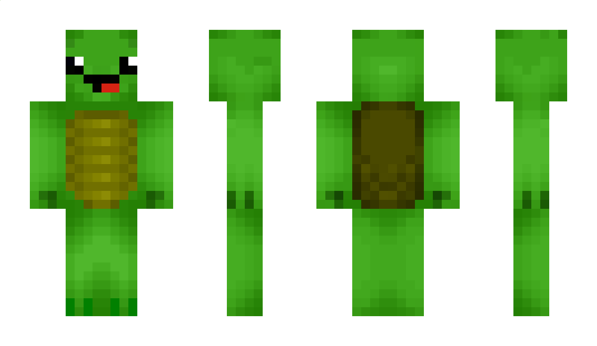Turtle_Flying Minecraft Skin