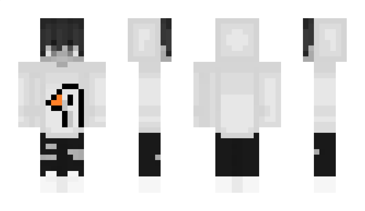 250racing Minecraft Skin