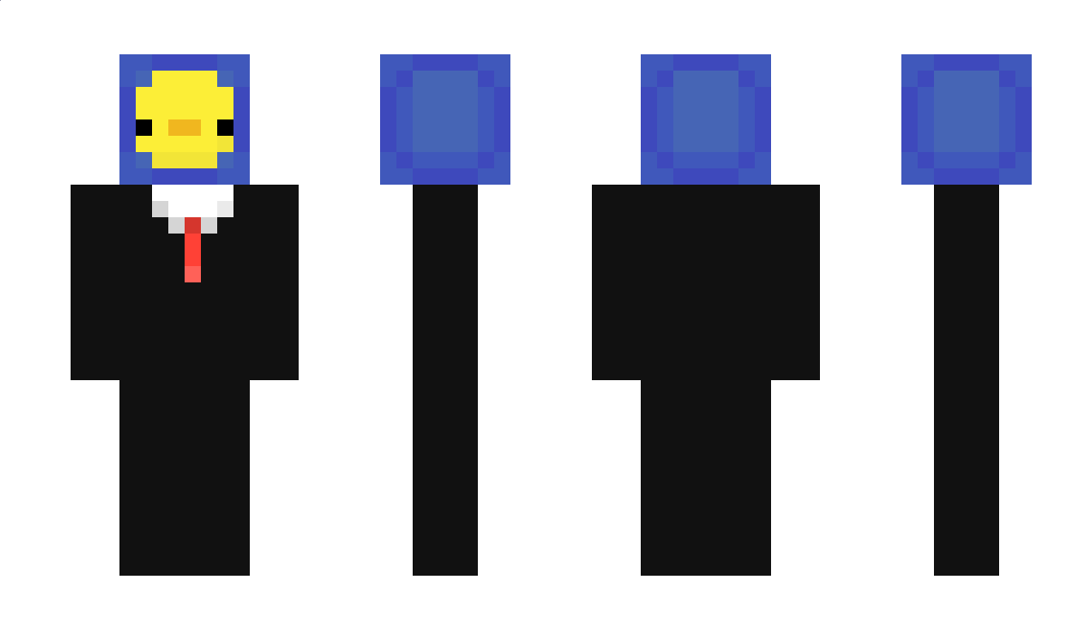 BEBE19PL Minecraft Skin