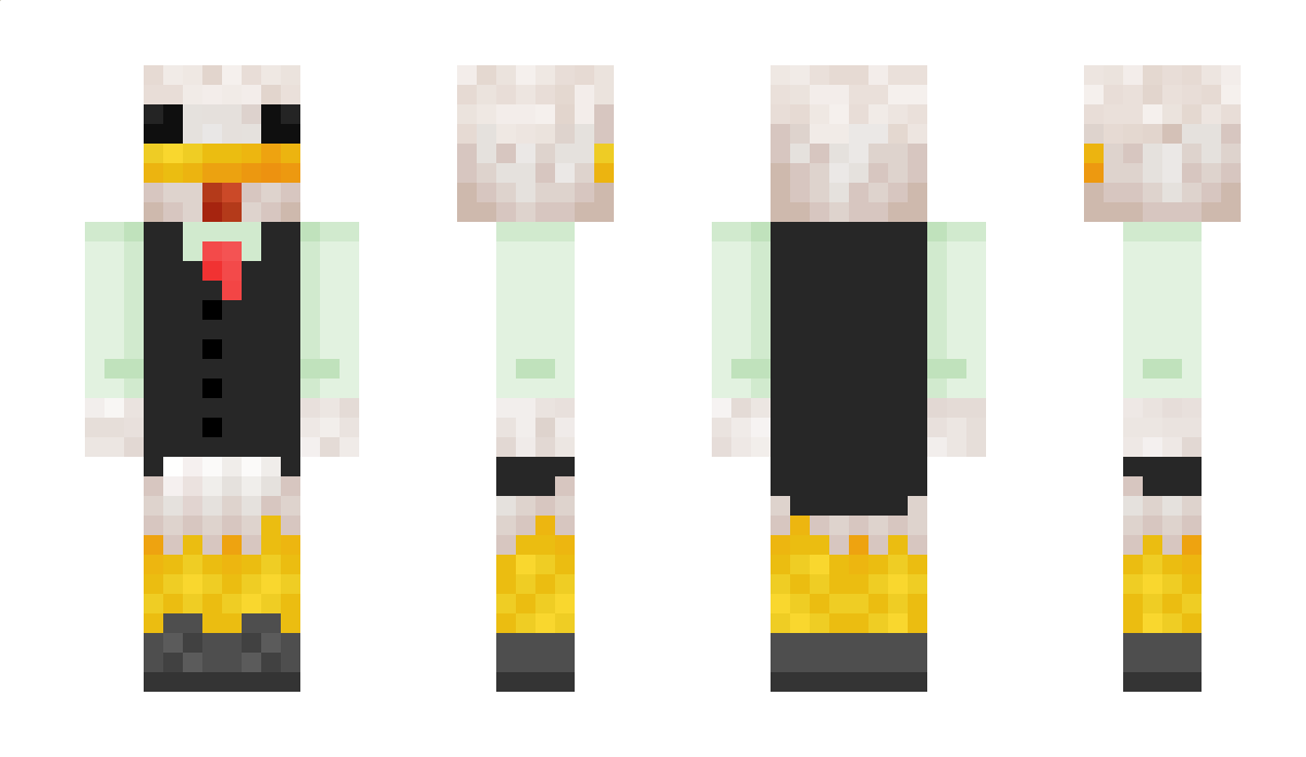birdmadeoftin Minecraft Skin