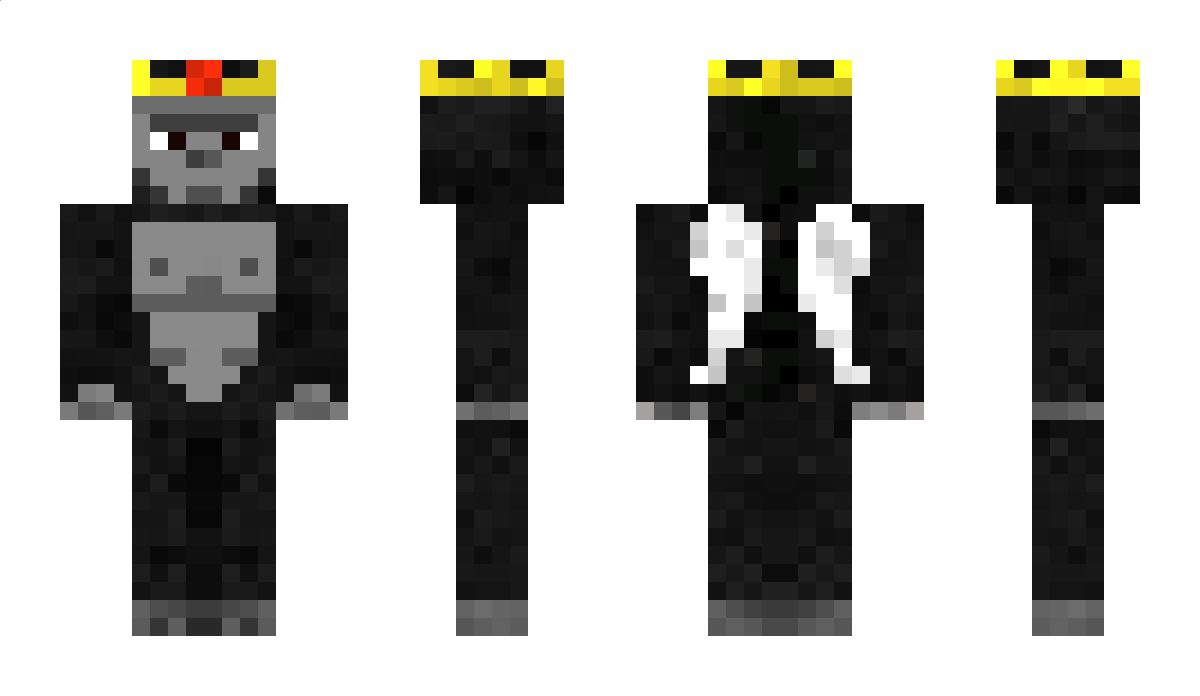 Navida Minecraft Skin