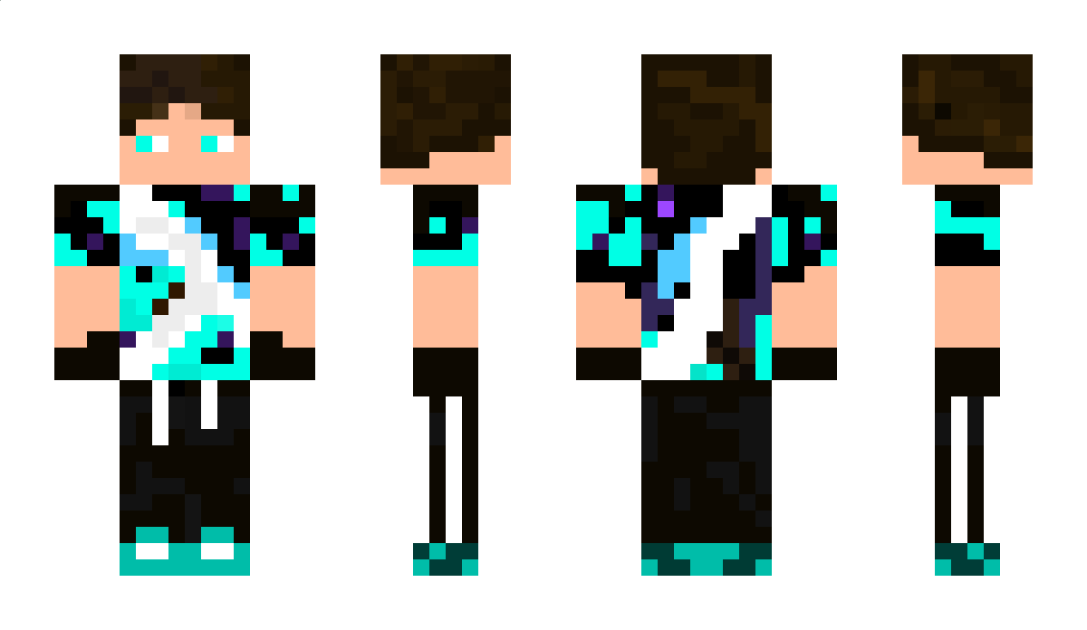 Meisterkl123 Minecraft Skin