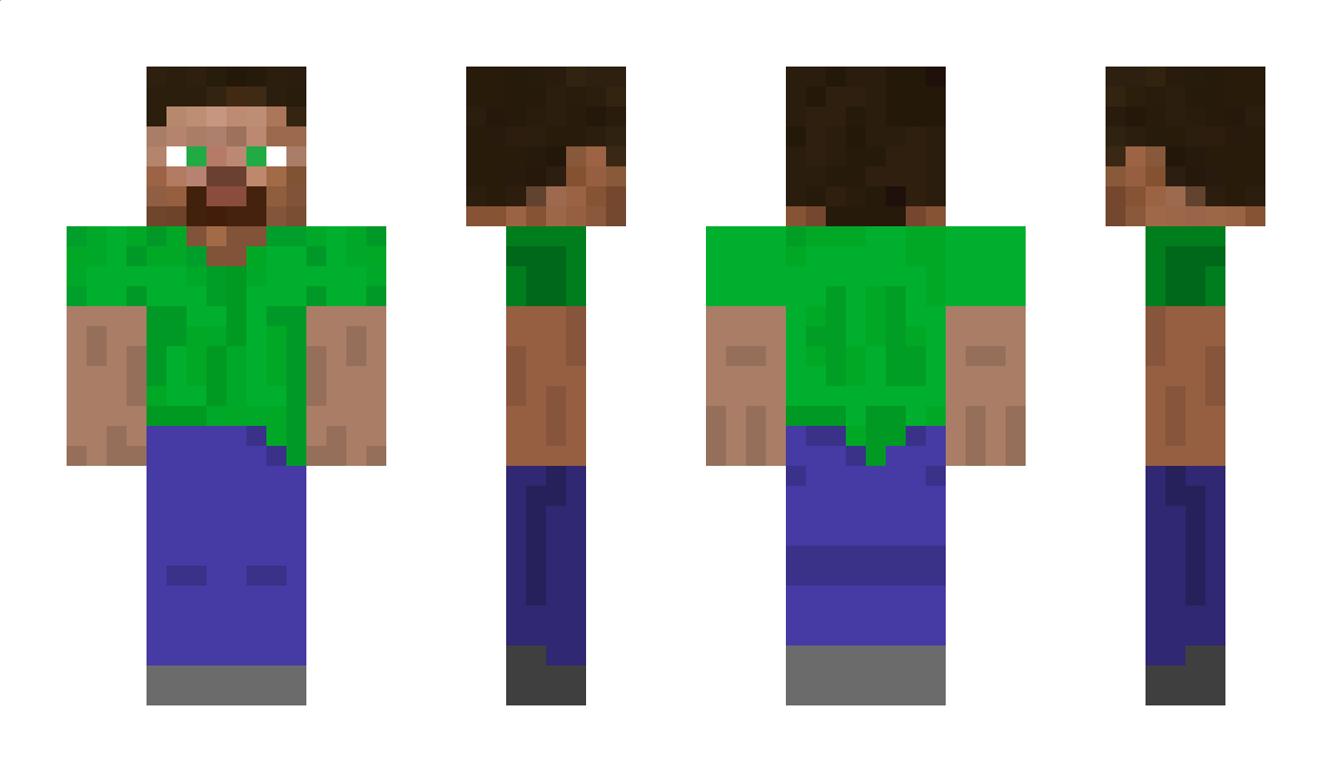 Sheldd Minecraft Skin