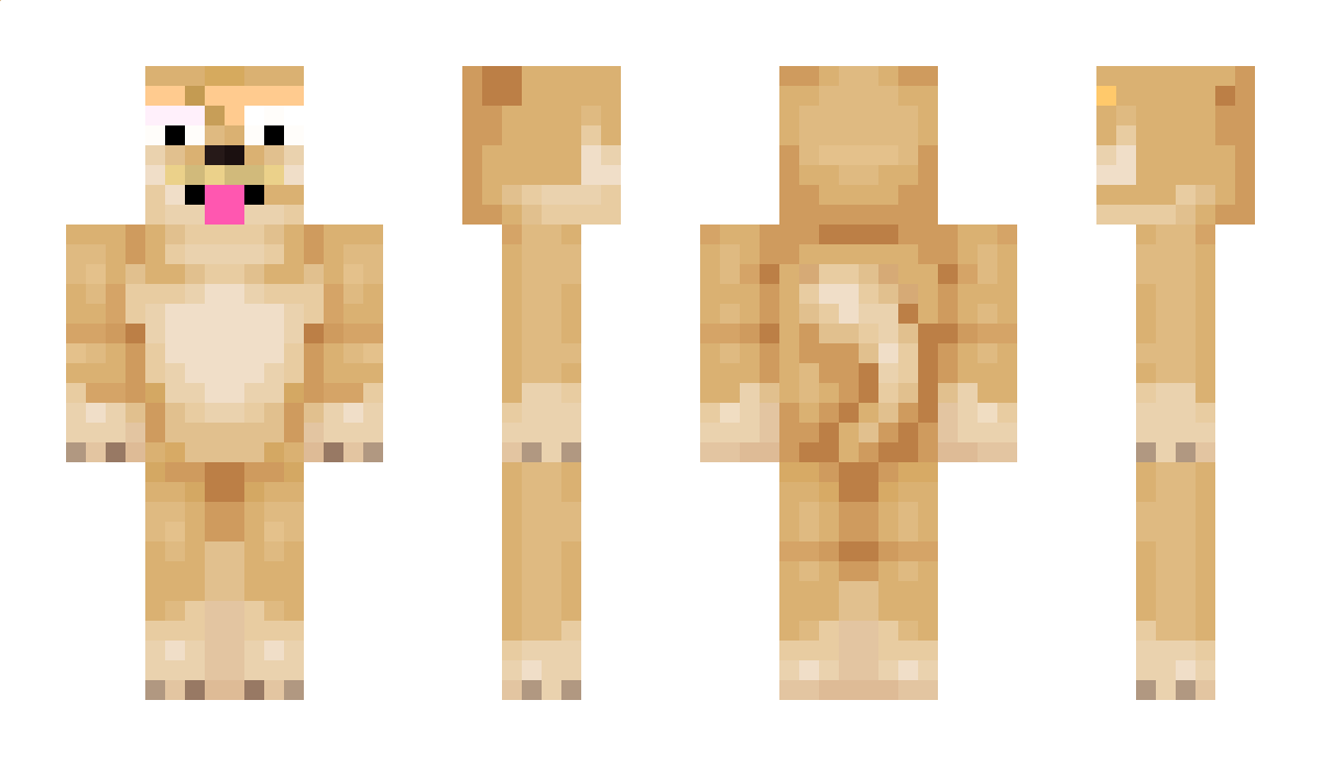 CoachXiaoimi Minecraft Skin