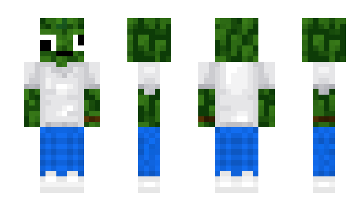 __L30___ Minecraft Skin