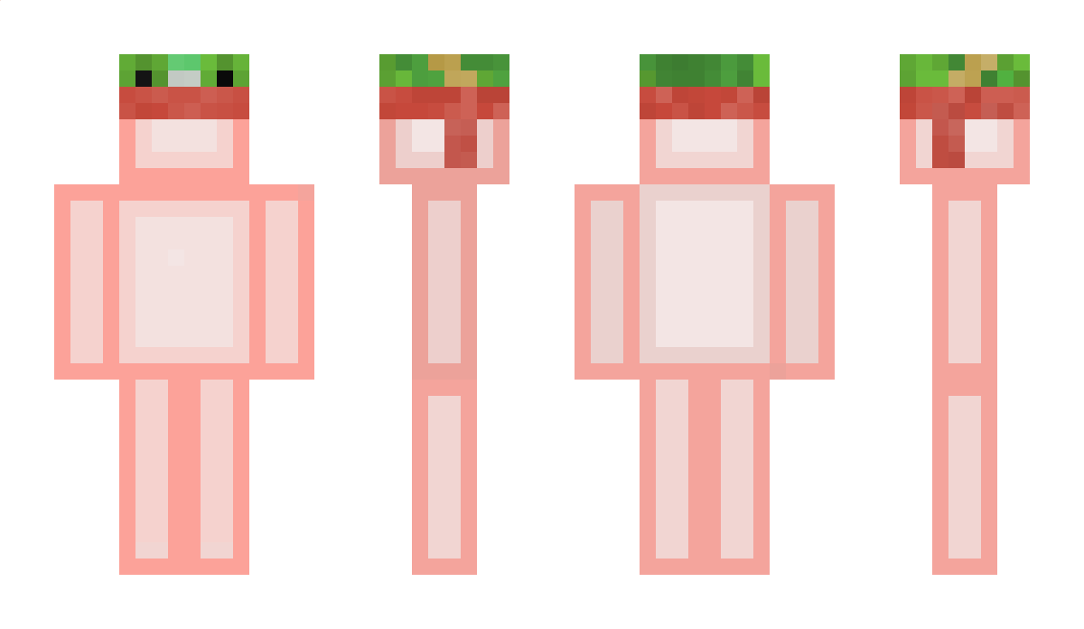 Salmonds Minecraft Skin