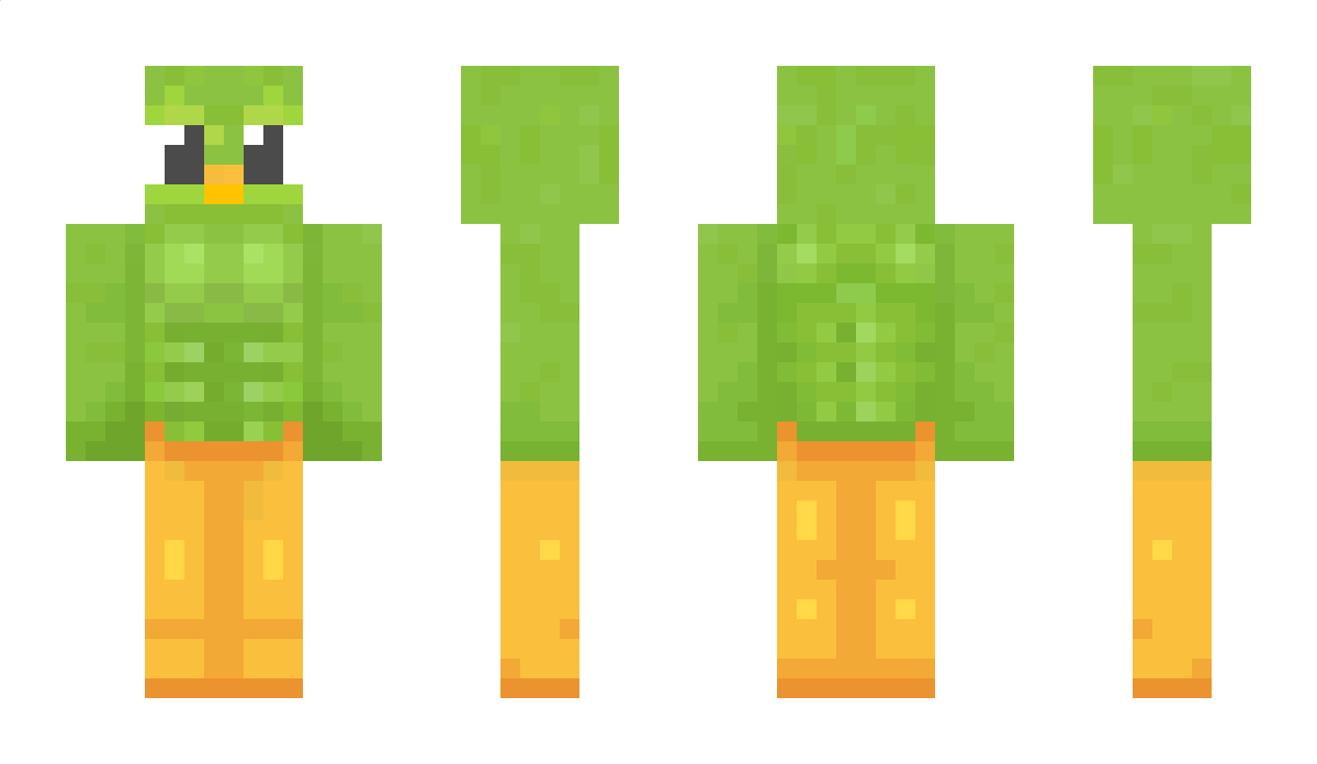 Oktoplay2011 Minecraft Skin