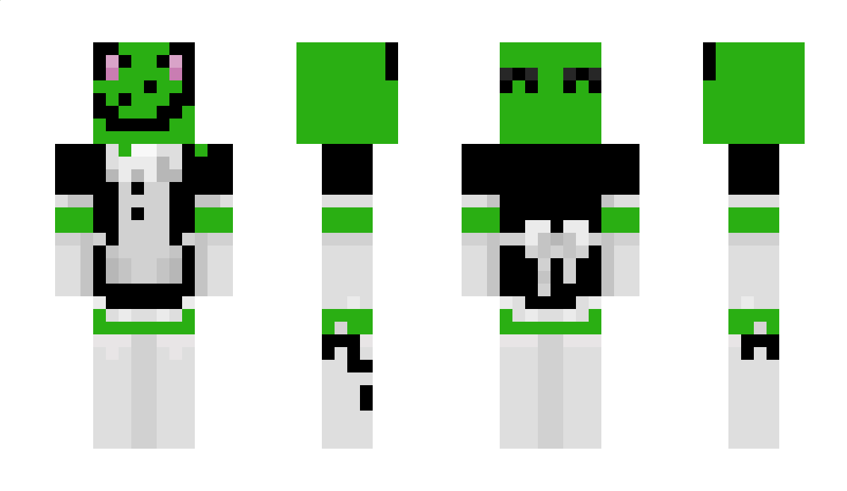 Durtel Minecraft Skin