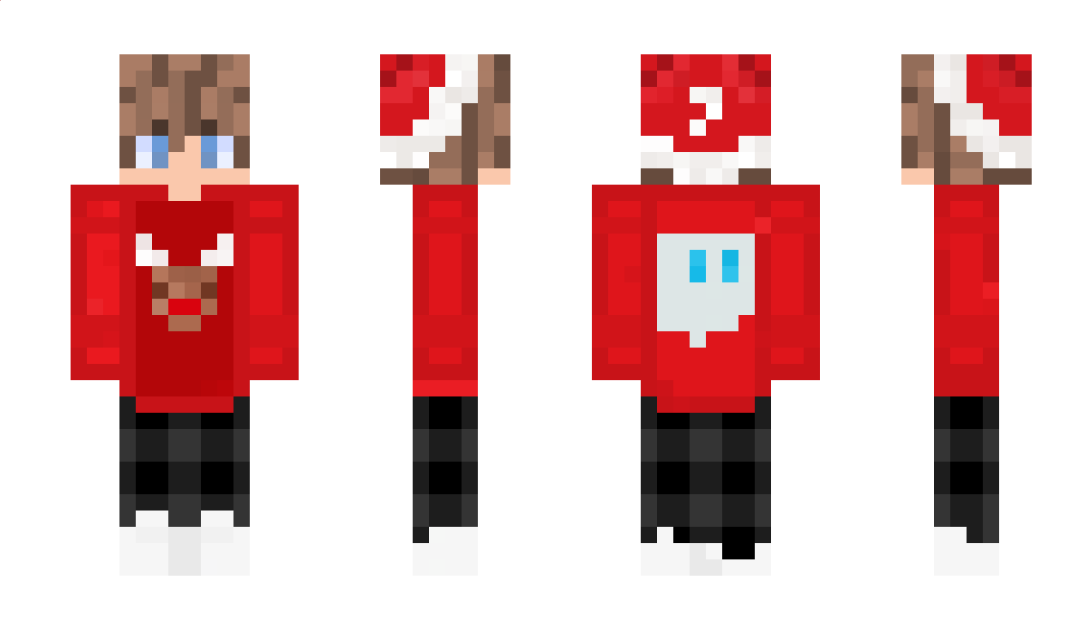 FunnyFinn21 Minecraft Skin