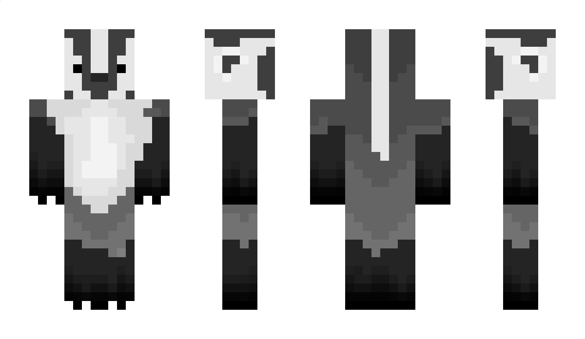 BadgerBunns Minecraft Skin